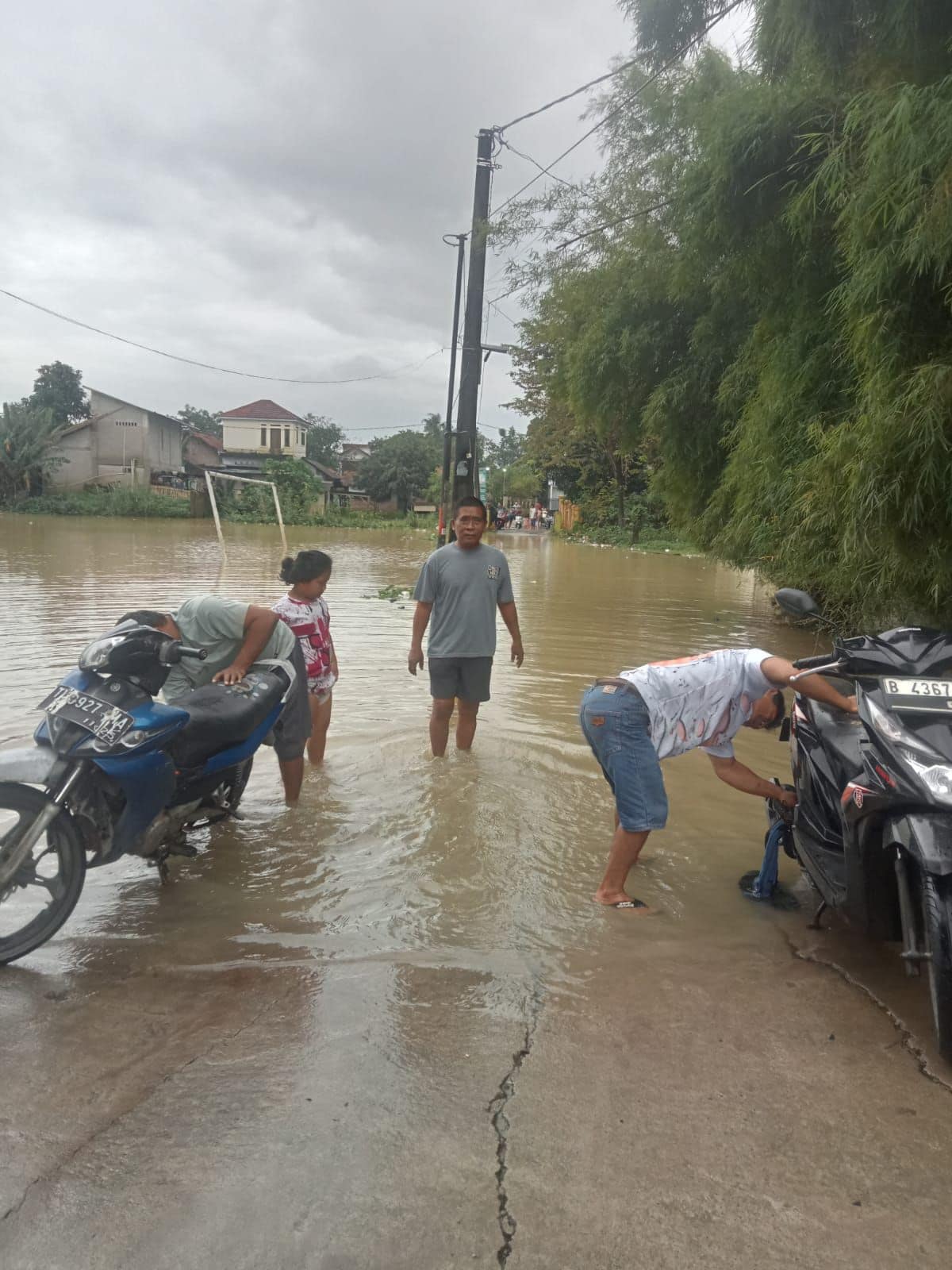 img-20260220-wa00157996732441685349526