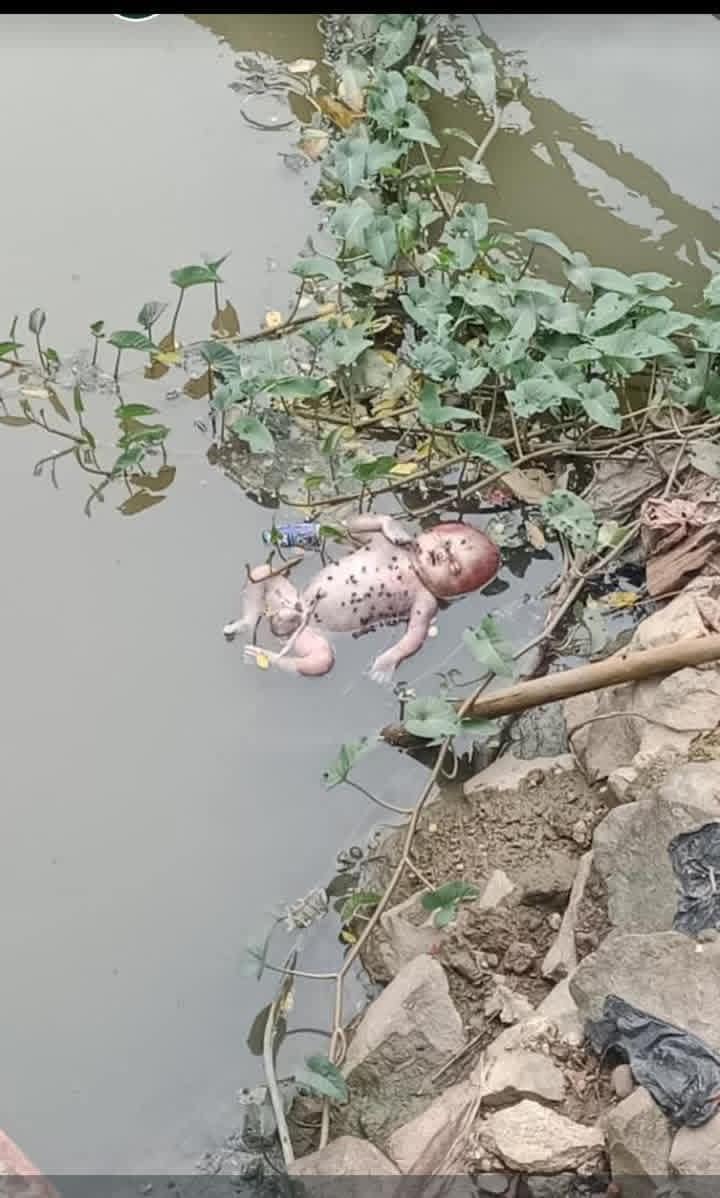 img-20260328-wa00164887541869401118265